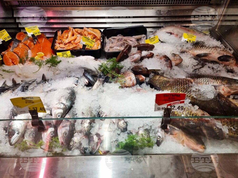 Сливен - Никулден - риба