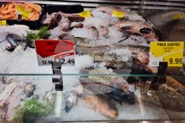 Сливен - Никулден - риба