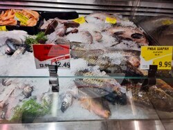 Сливен - Никулден - риба