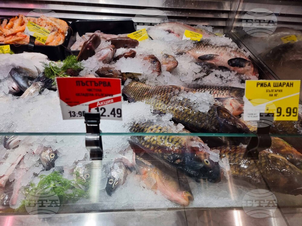 Сливен - Никулден - риба