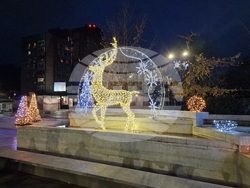 Свищов - коледна елха - запалване на светлините