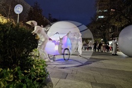 Стара Загора - коледна елха - светлини