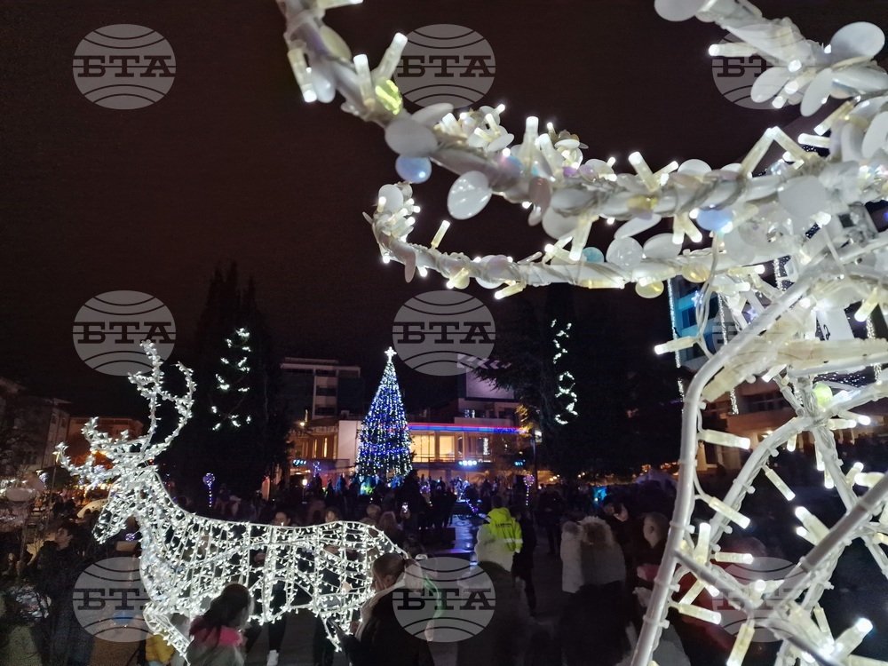 Стара Загора - коледна елха - светлини