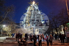 Кубрат - елха - светлини