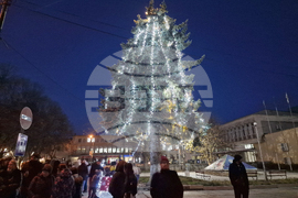 Кубрат - елха - светлини