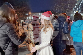 Кубрат - елха - светлини