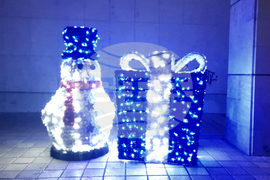 Троян - Коледа - елха - светлини - запалване