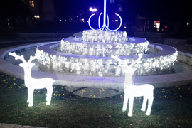 Троян - Коледа - елха - светлини - запалване