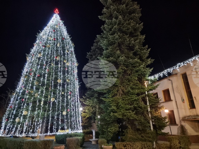 Тържествено запалиха светлините на коледната елха в Брезник