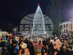 Брезник - коледна елха - запалване