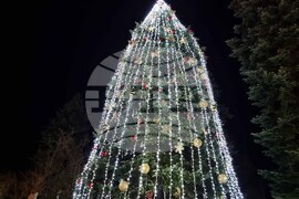 Брезник - коледна елха - запалване