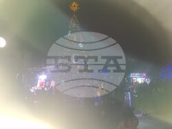 Смолян - елха