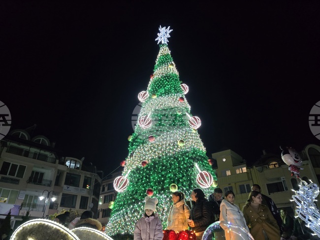 Грейна коледната елха в Петрич