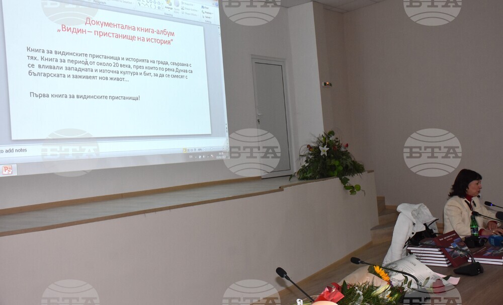 Видин - книга - представяне