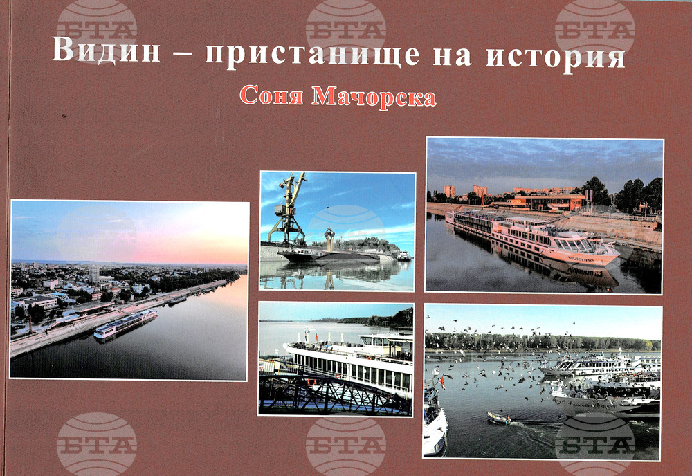Видин - книга - представяне