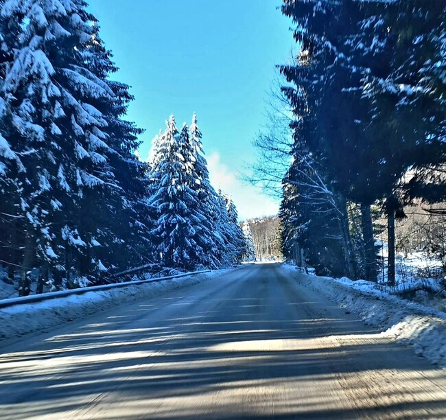 АПИ: Близо 130 снегорини почистват пътищата. Шофьорите да карат внимателно