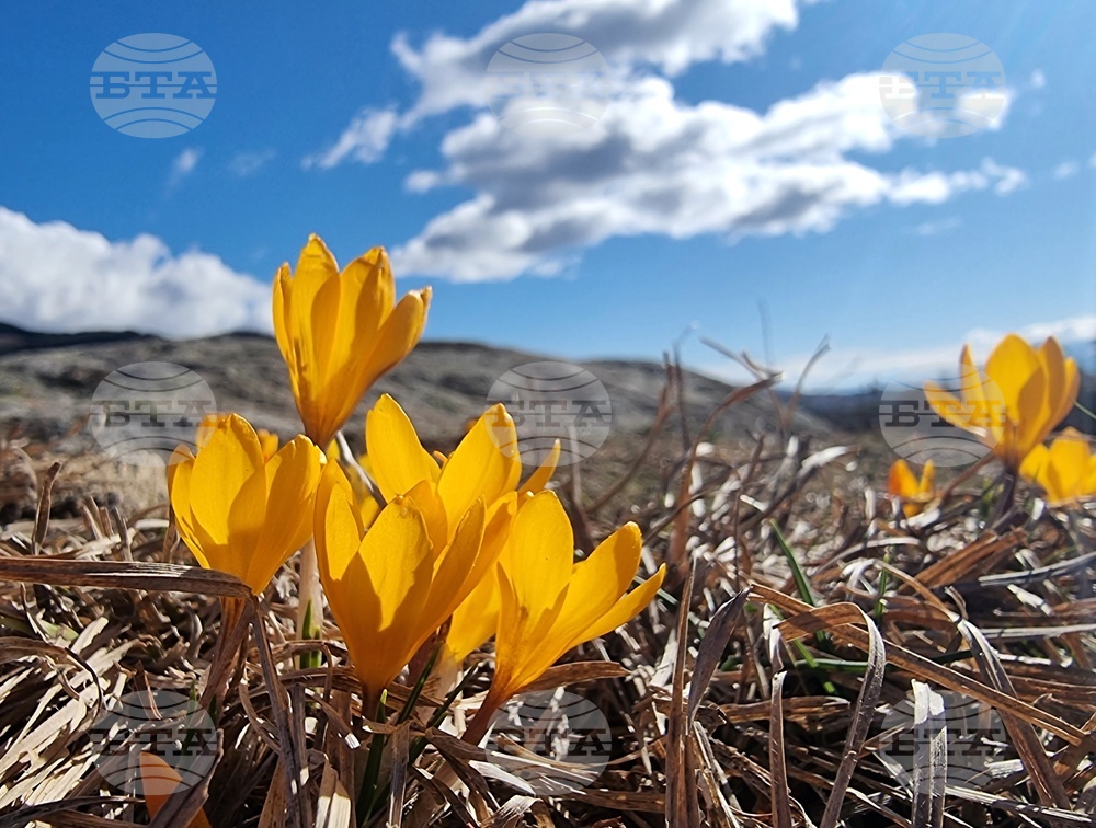 Fine Weather, Good Conditions for Hiking in the Mountains on Friday