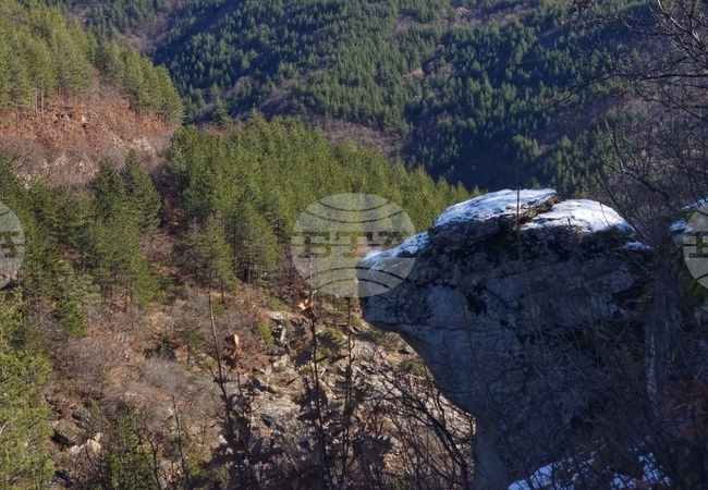 Регионалната инспекция по околна среда и води в Смолян засилва мерките срещу пожари в защитени територии