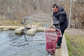 Село Мала църква - рибарник