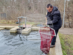 Село Мала църква - рибарник