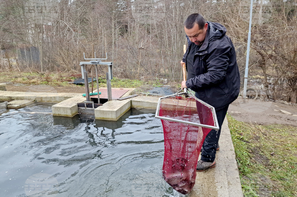 Село Мала църква - рибарник