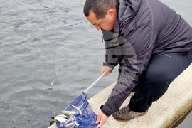 Село Мала църква - рибарник