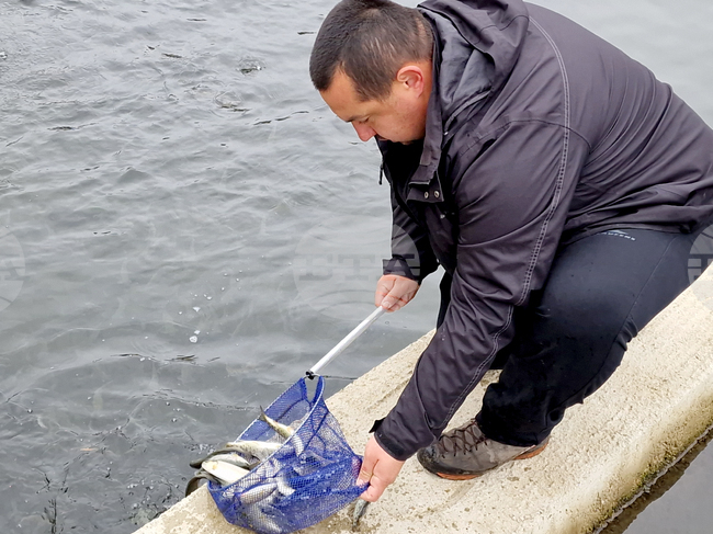 Село Мала църква - рибарник