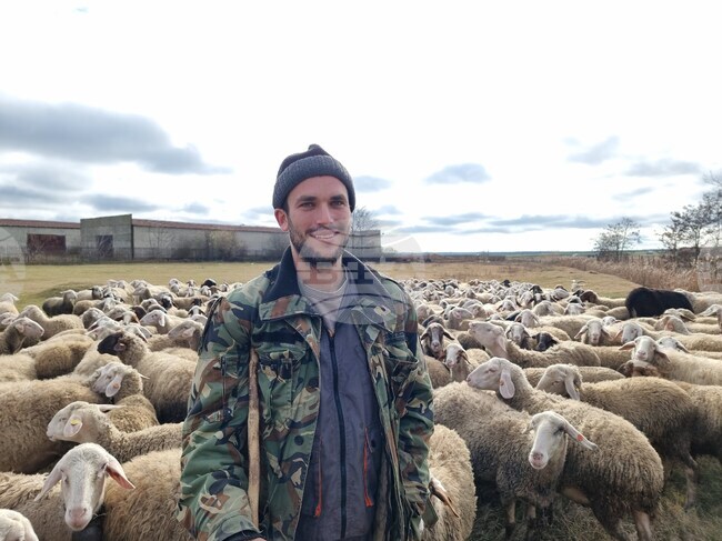 Над 1600 овце и кози в шест ямболски села са прегледани за чума и шарка, няма признаци на заболяванията