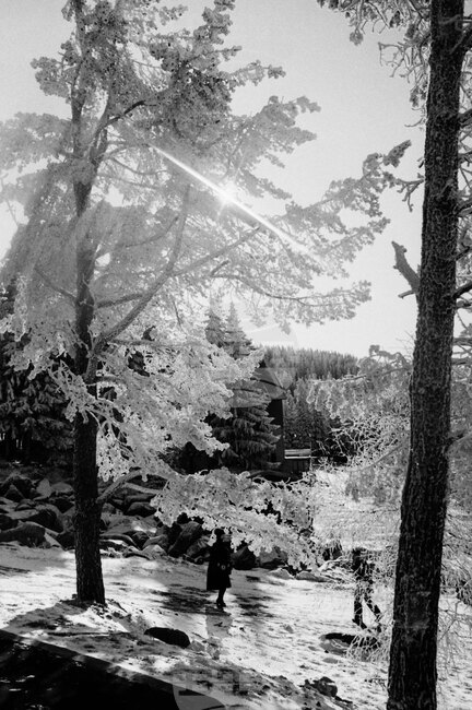 Витоша през зимата