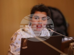 „Солидарност за енергия" - конференция - Елица Капушева