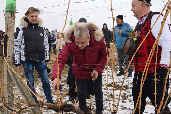 Община Благоевград: Николай Стойнев бе коронован за Цар на виното в село Дъбрава. Кметът Илко Стоянов награди отличените винопроизводители