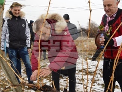 Снимка: Община Благоевград - Кметът на община Благоевград Илко Стоянов и кметът на Дъбрава Методи Стоянов короноваха Николай Стойнев за Цар на виното за 2023 г.