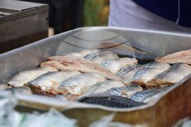 Бургас - Никулден - риба и ребен курбан