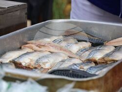 Бургас - Никулден - риба и ребен курбан