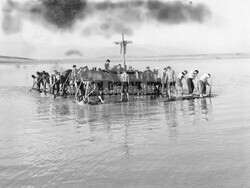 Петдесет години от премиерата на „Последно лято“ ще бъдат отбелязани днес в кино „Одеон“. Снимка: организатори