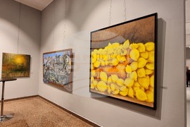 Турция - Анкара - изложба