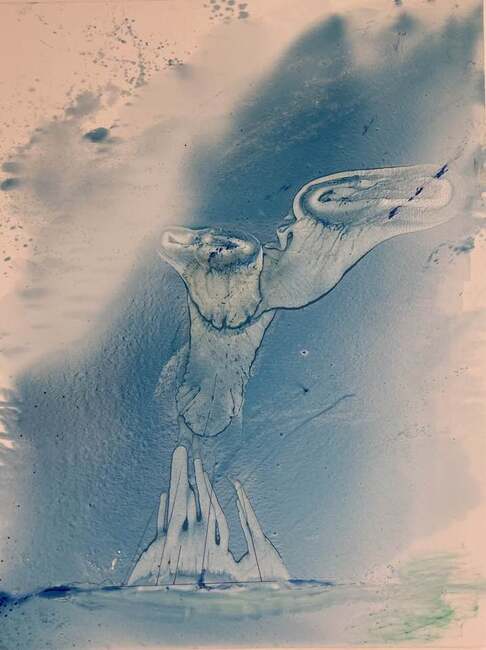 Атанас Парушев – Шока, Божидар Бончев и Греди Асса правят обща изложба 