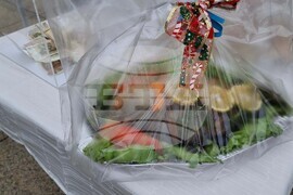 Враца - Никулден