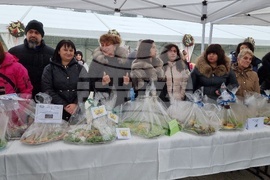 Враца - Никулден