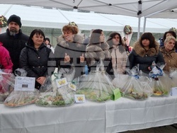 Враца - Никулден