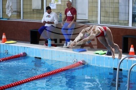 Плуване - открита тренировка - Габриела Георгиева