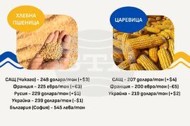 Цени на основни зърнени стоки по световните борси и на ССБ през седмицата