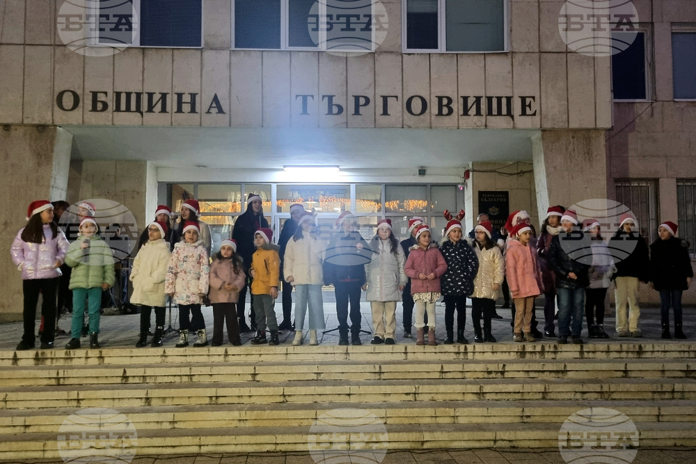 Търговище - коледна елха - светлини