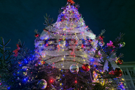 Търговище - коледна елха - светлини