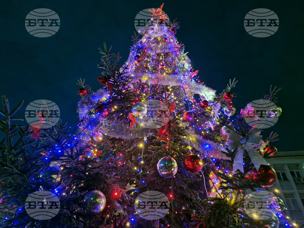 Търговище - коледна елха - светлини