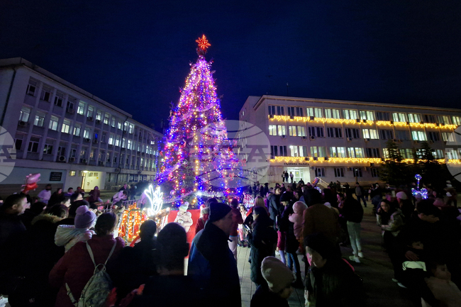  Търговище - коледна елха - светлини