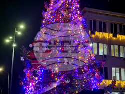 Търговище - коледна елха - светлини