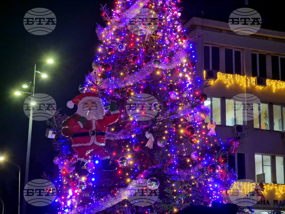 Търговище - коледна елха - светлини
