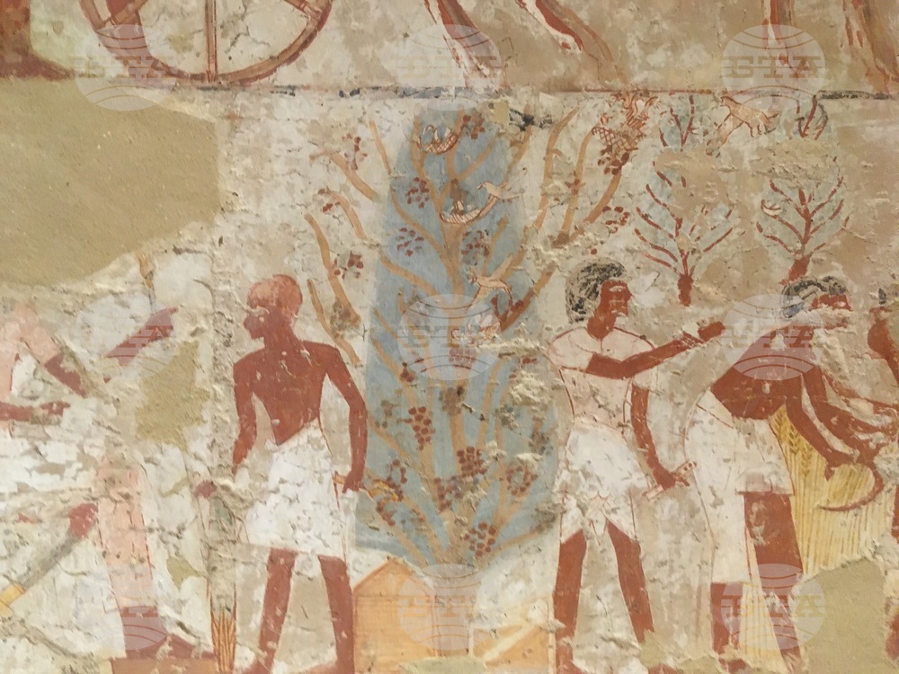 Делът на туризма и свързаните с него дейности е достигнал 8,1 процента от БВП на Египет