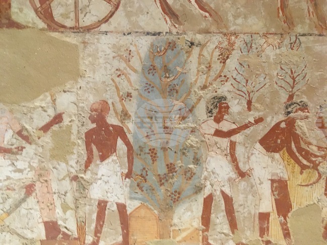 Делът на туризма и свързаните с него дейности е достигнал 8,1 процента от БВП на Египет